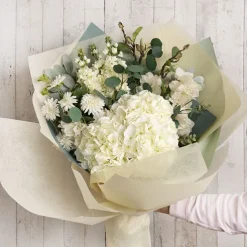 Giant Sahara Hydrangea Cream (22cmDx59cmH)