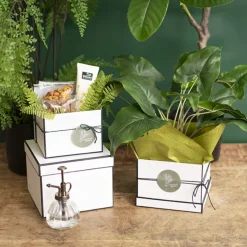 Gift Flower Box Square Silhouette White (20x15cmH) Set 3