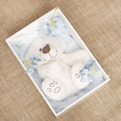 Gift Hamper Box with PVC Lid Rectangle White (36Lx25Wx14Hcm)