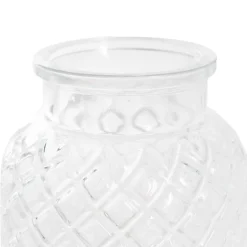 Glass Ann Bottle Vase Clear (14x16cmH)