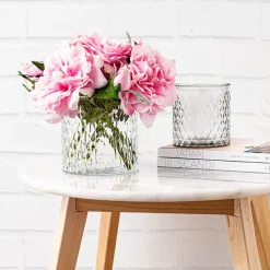 Glass Ann Maggie Vase Clear (12Dx12cmH)