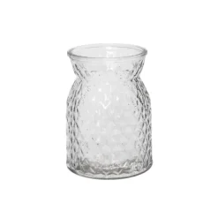 Glass Ann Posy Bottle Vase Clear (12x16cmH)
