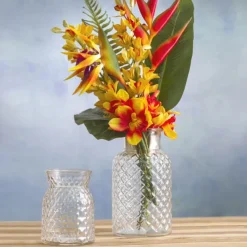 Glass Ann Posy Bottle Vase Clear (12x16cmH)