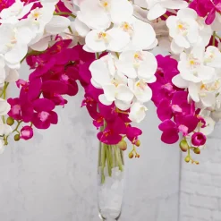 Glass Beach Rocks Frosted Clear (550grm Jar)