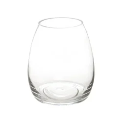 Glass Belly Vase Clear (17.7Dx20cmH)
