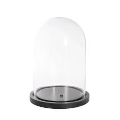 Glass Cloche Dome Terrarium Black MDF Base (23.5Dx30cmH)