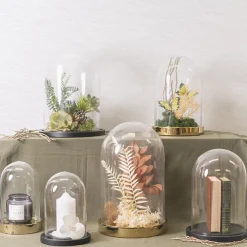 Glass Cloche Dome Terrarium Black MDF Base (23.5Dx30cmH)