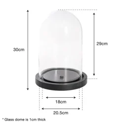 Glass Cloche Dome Terrarium Black MDF Base (23.5Dx30cmH)