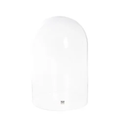 Glass Cloche Dome Terrarium Black MDF Base (23.5Dx30cmH)