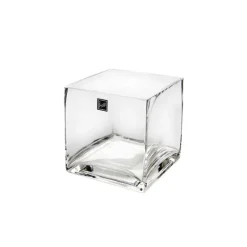 Glass Cube Vase 12cm Clear (12x12x12cmH)