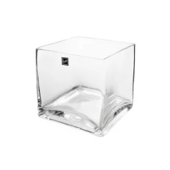 Glass Cube Vase 15cm Clear (15x15x15cmH)