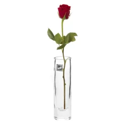 Glass Cylinder Bud Vase Clear (4Dx14cmH)