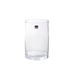 Glass Cylinder Vase Clear (10Dx15cmH)