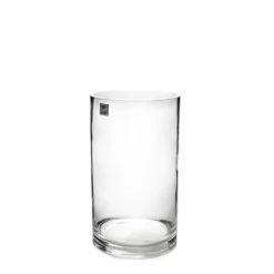 Glass Cylinder Vase Clear (12Dx22cmH)