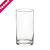 Glass Cylinder Vase Clear (12Dx15cmH) Promo