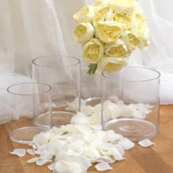 Glass Cylinder Vase Clear (18Dx18cmH)