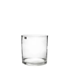 Glass Cylinder Vase Clear (15Dx15cmH)