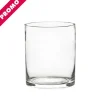 Glass Cylinder Vase Clear (15Dx18cmH) Promo