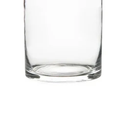 Glass Cylinder Vase Clear (15Dx18cmH) Promo