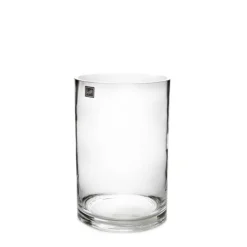 Glass Cylinder Vase Clear (15Dx25cmH)