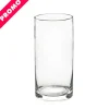 Glass Cylinder Vase Clear (12Dx20cmH) Promo