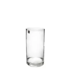 Glass Cylinder Vase Clear (9Dx16cmH)