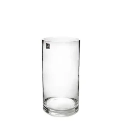 Glass Cylinder Vase Clear (10Dx26cmH)