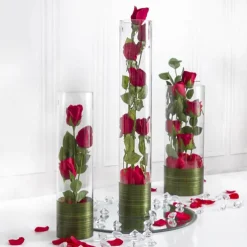 Glass Cylinder Vase Clear (10Dx30cmH)