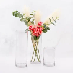 Glass Cylinder Vase Clear (10Dx30cmH) Promo