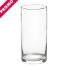 Glass Cylinder Vase Clear (12Dx25cmH) Promo