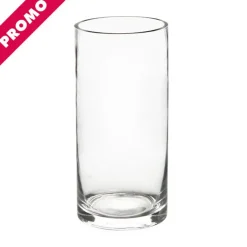 Glass Cylinder Vase Clear (12Dx25cmH) Promo