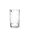 Glass Cylinder Vase Clear (12Dx25cmH)