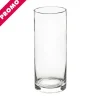 Glass Cylinder Vase Clear (10Dx25cmH) Promo