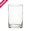 Glass Cylinder Vase Clear (15Dx20cmH) Promo