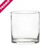 Glass Cylinder Vase Clear (15Dx15cmH) Promo