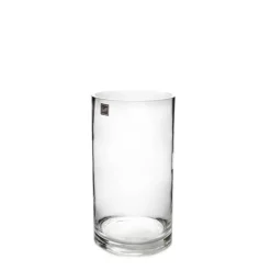 Glass Cylinder Vase Clear (10Dx20cmH)