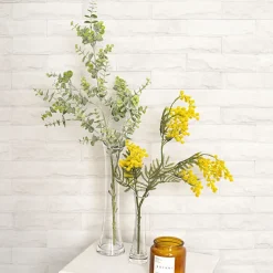 Glass Cylinder Waisted Bud Vase Diag Top Clear (6Dx23cmH)