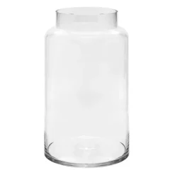 Glass Dimi Squat Dome Vase Large Clear (13TDx18BDx30cmH)