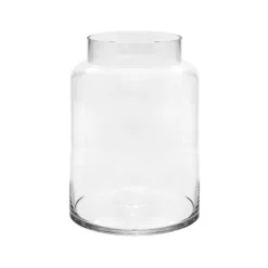Glass Dimi Squat Dome Vase Clear (13TDx18BDx20cmH)