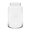 Glass Dimi Squat Dome Vase Clear (13TDx18BDx25cmH)