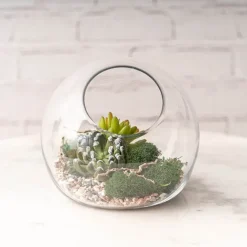 Glass Fish Bowl Vase Cut Out Top Clear (20Dx17.5cmH)