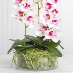 Glass Float Bowl Cylinder Clear (20Dx9cmH)