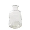 Glass Habitat Bottle Vase Clear (11.5x17cmH)