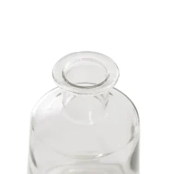 Glass Habitat Bottle Vase Clear (11.5x17cmH)