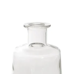 Glass Habitat Bottle Vase Clear (11.5x17cmH)