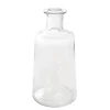 Glass Habitat Bottle Vase Clear (11.5x24cmH)