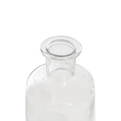 Glass Habitat Bottle Vase Clear (11.5x24cmH)