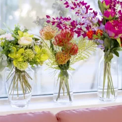 Glass Luna Vase Clear (16Dx25cmH)