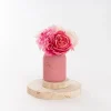 Glass Mason Jar Fresh Cuts Posy Vase Pink (9.5Dx15cmH)