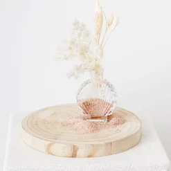 Glass Shell Shape Bottle Vase Clear (8x3.5x10.8cmH)